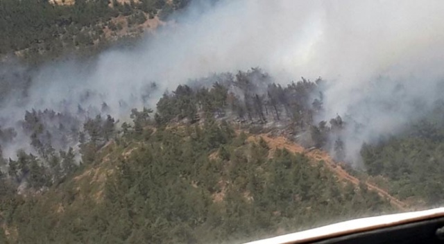 Hatay’da 25 hektarlık alan kül oldu