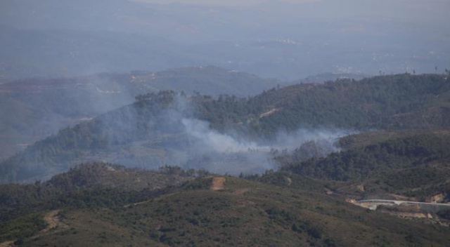 Hatay sınırında orman yangını Hatay sınırında orman yangını