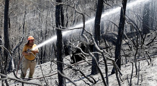 İzmir&#039;deki orman yangınında soğutma çalışmaları devam ediyor