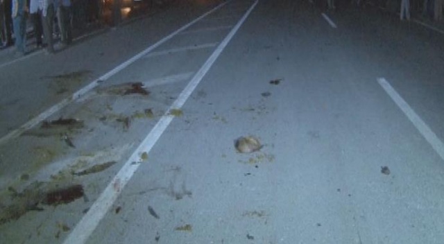 Otomobil yolun karşısına geçen sürüye çarptı: 40 koyun telef oldu Otomobil yolun karşısına geçen sürüye çarptı: 40 koyun telef oldu