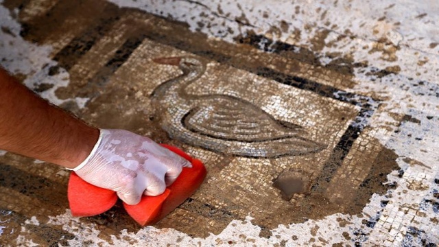 Perge'de bin 800 yıllık mozaik heyecanı Perge'de bin 800 yıllık mozaik heyecanı