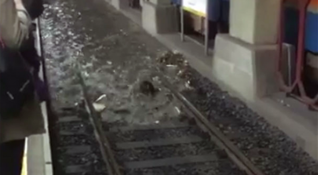Son dakika... Havalimanı-Yenikapı metrosunda şok görüntüler!
