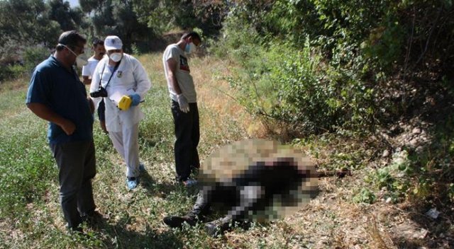 Zeytinlikte erkek cesedi bulunu Zeytinlikte erkek cesedi bulunu