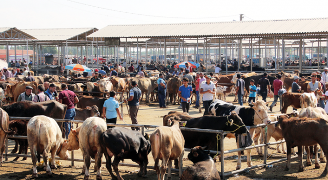 5 milyon hayvanla ‘Kurban’a hazırız