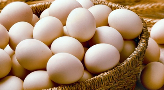 Almanya&#039;da zehirli yumurta alarmı
