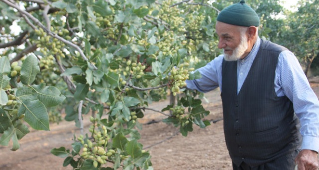 Babasının bir sözünü dinledi, her yıl bir kilo altın alıyor