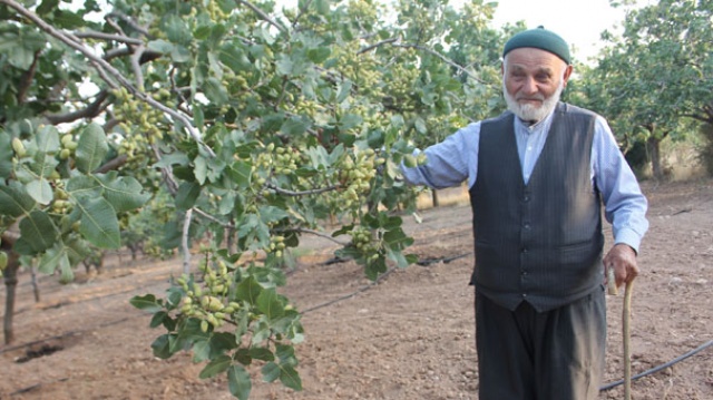 Babasının bir sözünü dinledi, her yıl bir kilo altın alıyor