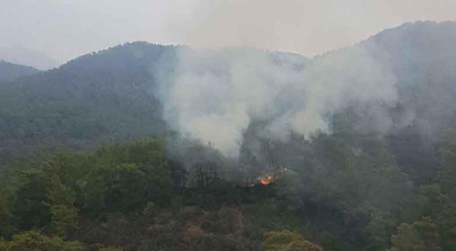Muğla Köyceğiz&#039;de orman yangını