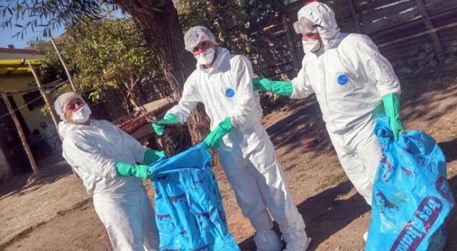 Sivas Valiliğinden "kuş gribi" açıklaması Sivas Valiliğinden "kuş gribi" açıklaması