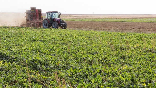 Türkiye 10 yılda 87 ülkeden fazla tarım toprağını kaybetti Türkiye 10 yılda 87 ülkeden fazla tarım toprağını kaybetti