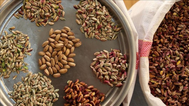 Fiyatı 120 lirayı aştı! Fıstık altınla yarışıyor