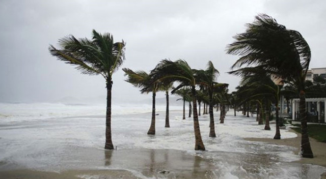 Florida&#039;da kırmızı alarm verildi