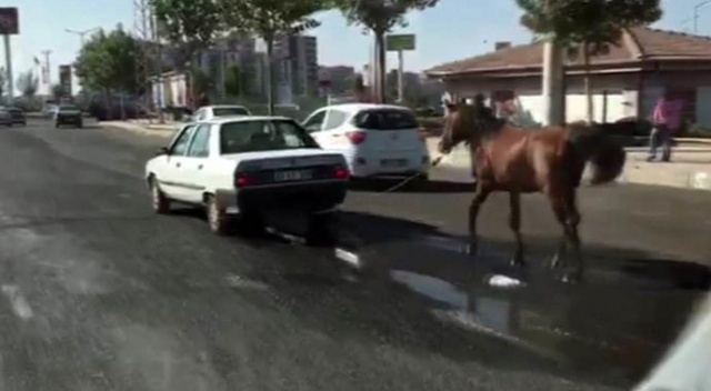 Arabanın arkasına at bağladılar!
