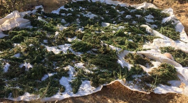 Diyarbakır'da narko terör operasyonu Diyarbakır'da narko terör operasyonu
