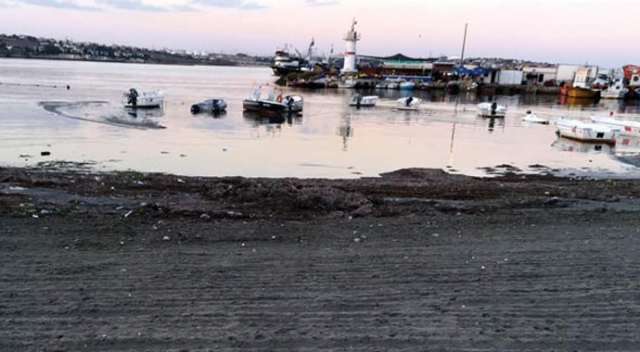 Tekirdağ'da deniz 10 metre çekildi