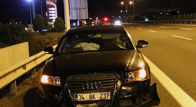 TEM'e çıkan koyunlar zincirleme kazaya neden oldu TEM'e çıkan koyunlar zincirleme kazaya neden oldu