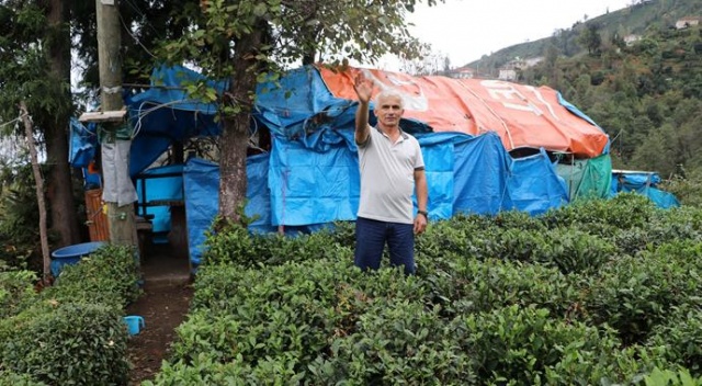 15 senedir yaz kış çadırda yaşıyor 15 senedir yaz kış çadırda yaşıyor