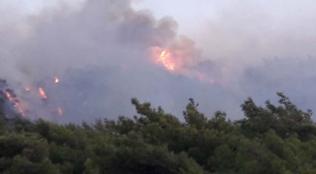 Datça&#039;da orman yangını çıktı