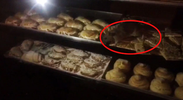 Tatlıların üzerinde fare gezen pastanenin sahibinden açıklama