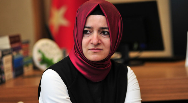 Bakan Kaya'dan Zeytindalı operasyonu açıklaması Bakan Kaya'dan Zeytindalı operasyonu açıklaması