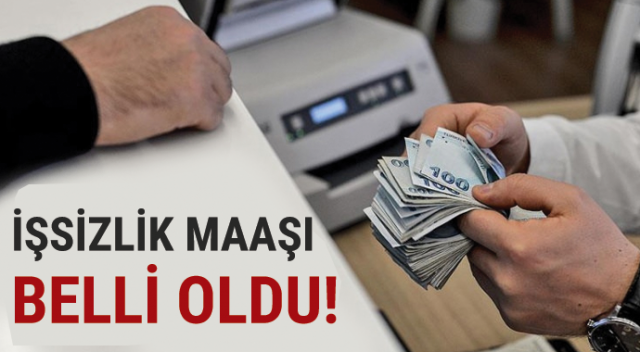 İşsizlik Maaşı Ne Kadar? (2018 İşsizlik Maaşı Kaç TL Oldu?) İşsizlik Maaşı Ne Kadar? (2018 İşsizlik Maaşı Kaç TL Oldu?)