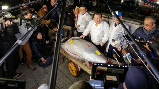 Japonya'da yılın ilk orkinosu 320 bin dolara satıldı Japonya'da yılın ilk orkinosu 320 bin dolara satıldı
