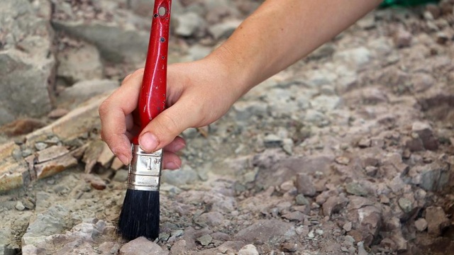 Kanada&#039;da 508 milyon yıllık solucan fosilleri bulundu