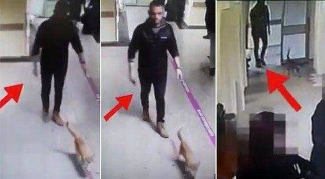 Acil servise kedi sokup videoya çeken Hürriyet muhabiri