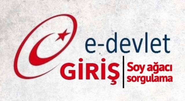 Soyağacınızı daha geri tarihlere götürebilirsiniz Soyağacınızı daha geri tarihlere götürebilirsiniz