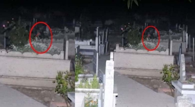 Valilikten flaş açıklama! Mezarlıktaki kız bulundu Valilikten flaş açıklama! Mezarlıktaki kız bulundu