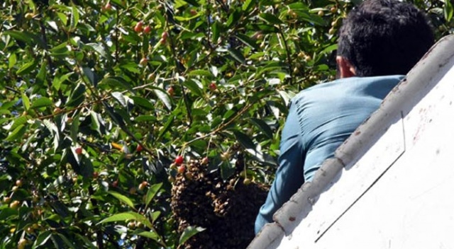 Mahallede büyük panik! Evin içini bastılar