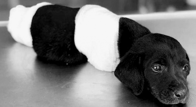 Türkiye'yi ayağa kaldıran olay için karar verildi