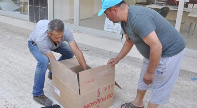 Yol kenarında fark ettiler! Hemen kutuya koyup...
