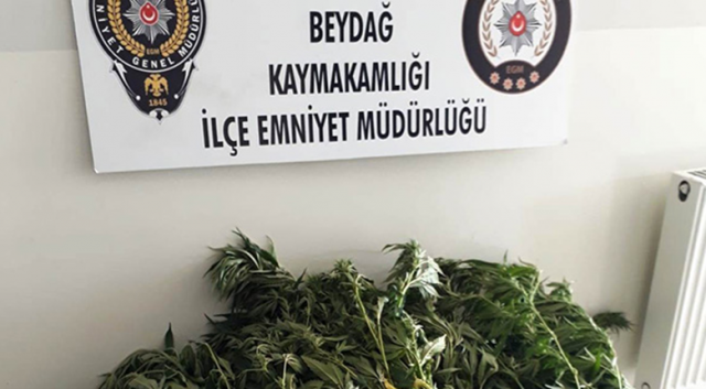 Baba-oğul zehir tacirleri yakalandı Baba-oğul zehir tacirleri yakalandı