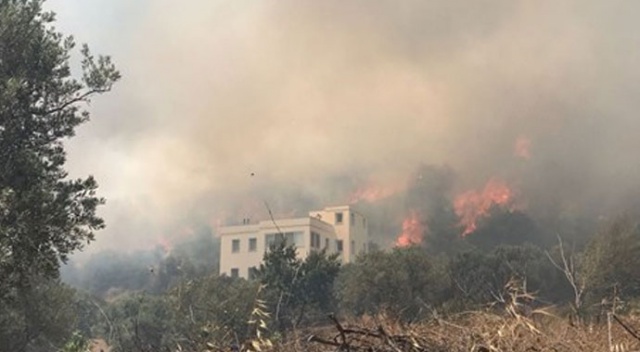 Bodrum&#039;da otluk ve makilik alanda yangın  çıktı