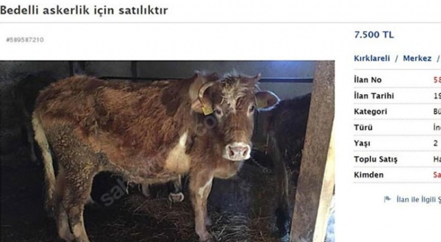 Bu kez ilanlar bedelli askerlikten faydalanabilmek için verildi