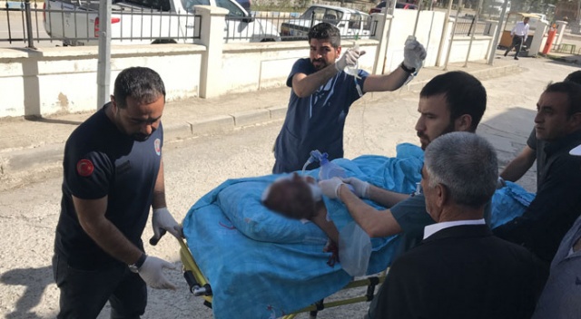 Kuşlara ateş ederken yanlışlıkla babasını vurdu!