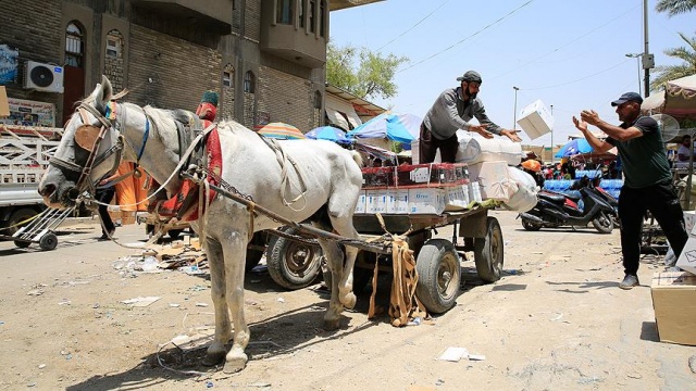 Şiddet yorgunu Bağdat&#039;ta at arabalarıyla taşımacılık sürüyor