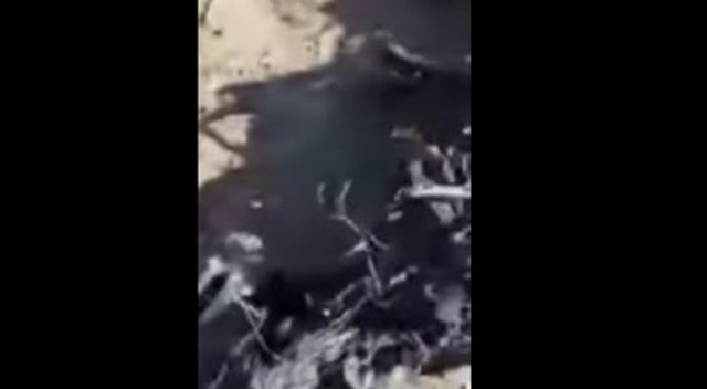 Suriye'nin kuzeyinde askerî uçak düştü Suriye'nin kuzeyinde askerî uçak düştü
