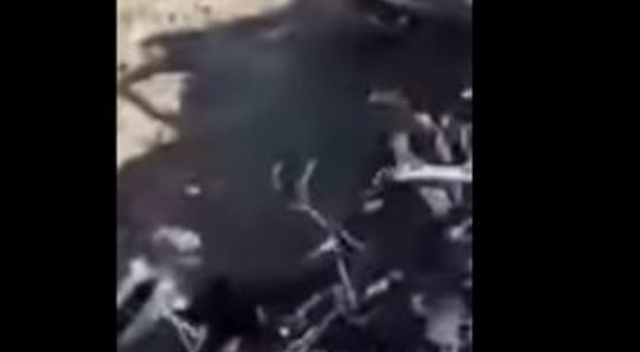 Suriye'nin kuzeyinde askeri uçak düştü Suriye'nin kuzeyinde askeri uçak düştü