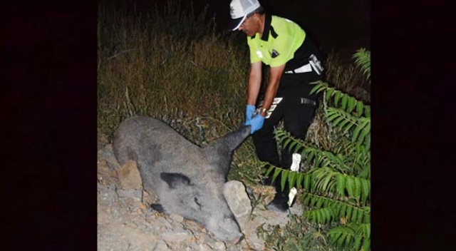 Birden trafik tıkandı sebebi şoke etti!