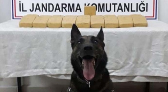 Şırnak’ta ele geçirildi! 14 kilo...