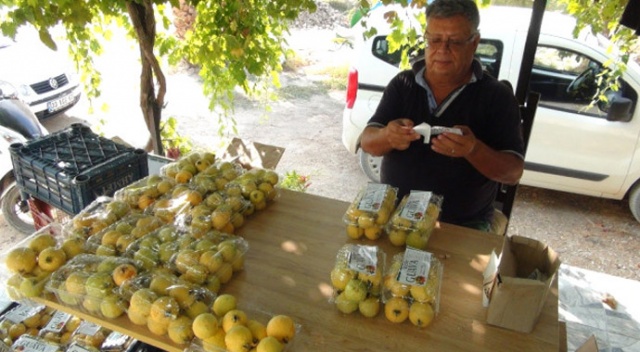 Türkiye'nin İlk guava üreticisi...