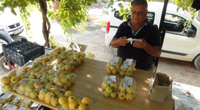 Türkiye’nin ilk guava üreticisi