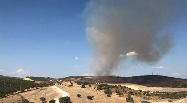 İzmir&#039;de orman yangını