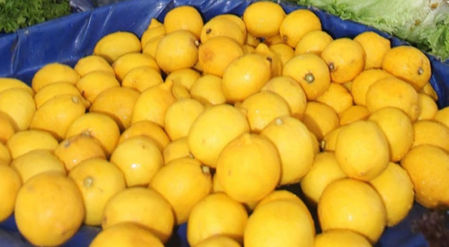 Limonun fiyatı yüzde 30 düşecek Limonun fiyatı yüzde 30 düşecek