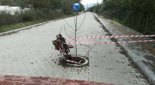 18 yaşındaki hırsız yakalandı