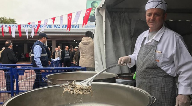 Bayrampaşa'da 'Hamsi Festivali' Bayrampaşa'da 'Hamsi Festivali'