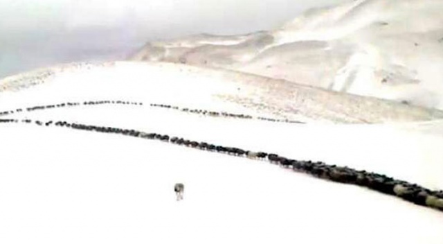 Bu fotoğraf bugün Türkiye’de çekildi Bu fotoğraf bugün Türkiye’de çekildi