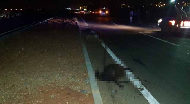 Hatay’da iki otomobil yoldaki keçilere çarptı: 13 küçükbaş hayvan telef oldu Hatay’da iki otomobil yoldaki keçilere çarptı: 13 küçükbaş hayvan telef oldu